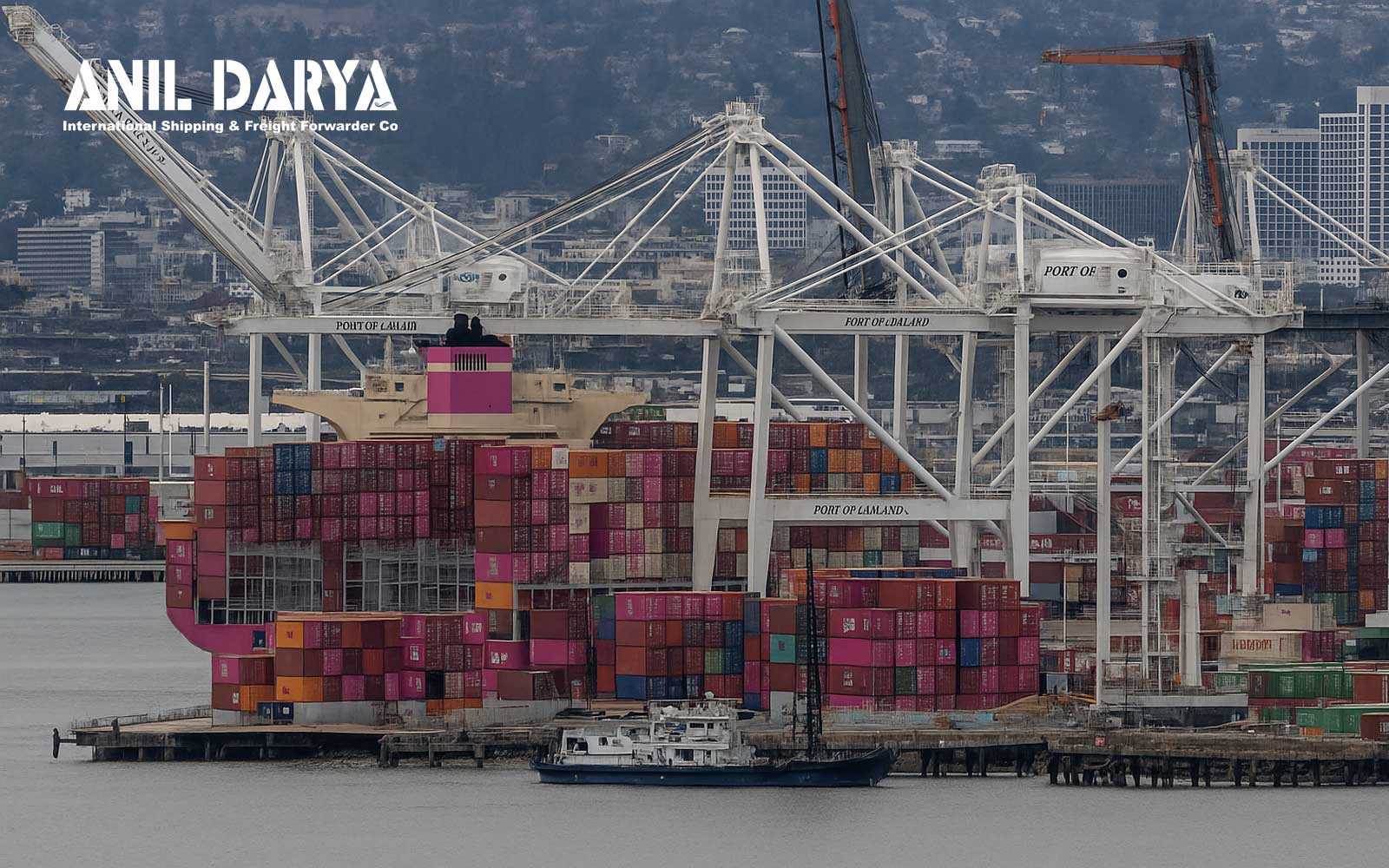 Price war between major container shipping companies